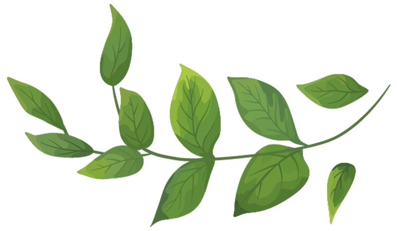 Feuille-3-